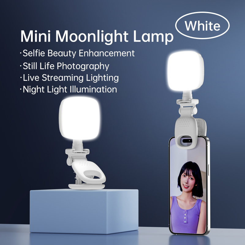 Lighting Gallery - Tragbare Mini-LED-Selfie-Leuchte mit Clip, dimmbar, Beauty-Lampe