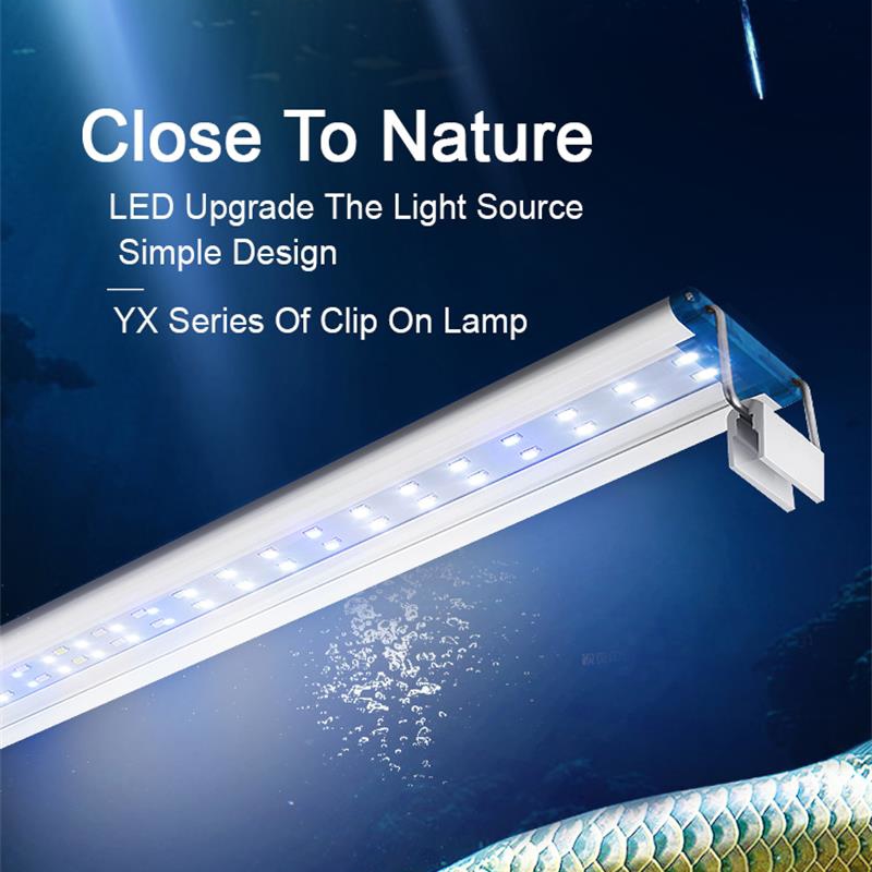 Ausziehbare wasserdichte Clip  – Lighting Gallery Bewertung und Preis