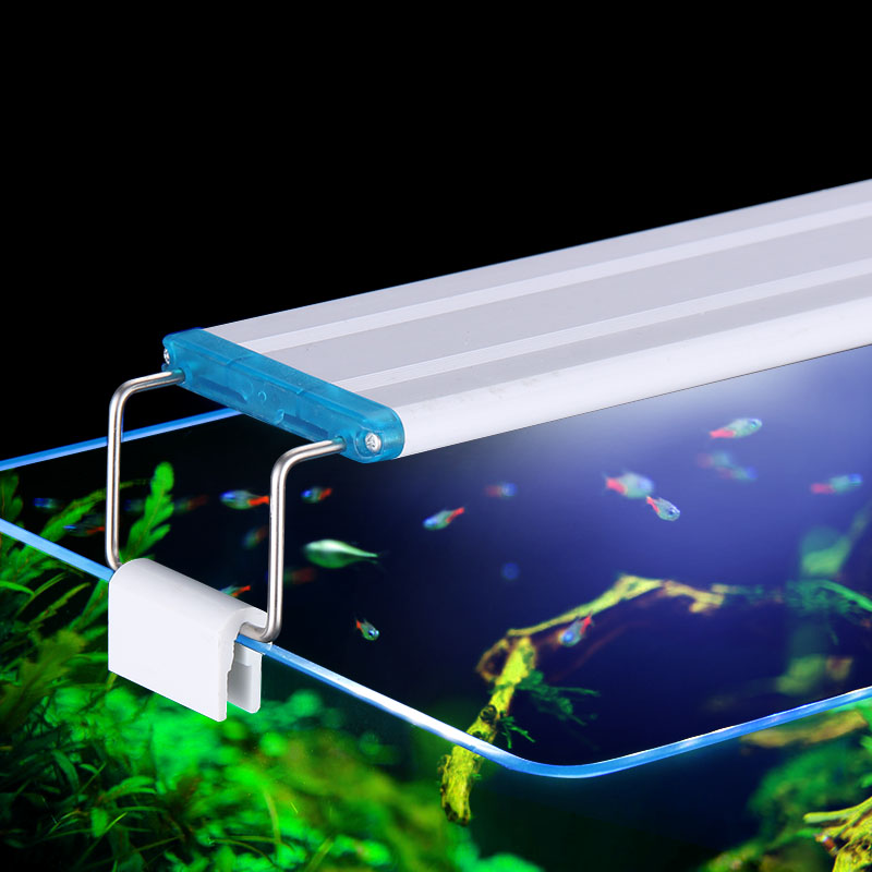 Ausziehbare wasserdichte Clip  – Lighting Gallery Bewertung und Preis