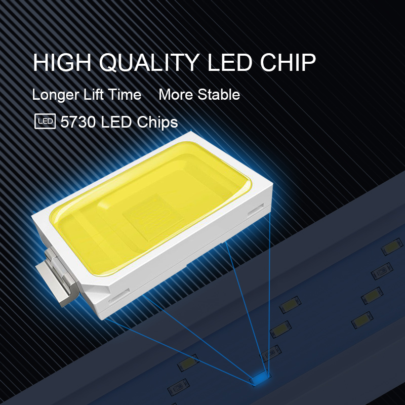 Ausziehbare wasserdichte Clip  – Lighting Gallery Bewertung und Preis